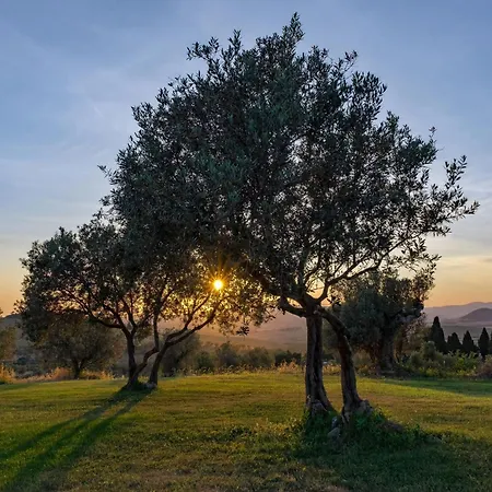 La Marrana * Terriccio